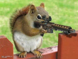 sniper squirrel